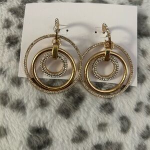 Elegant Gold Hoop Earrings